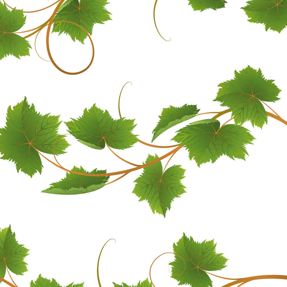 VIN12 Sticker Frises Feuilles De Vigne DECO VITRES Electrostatique