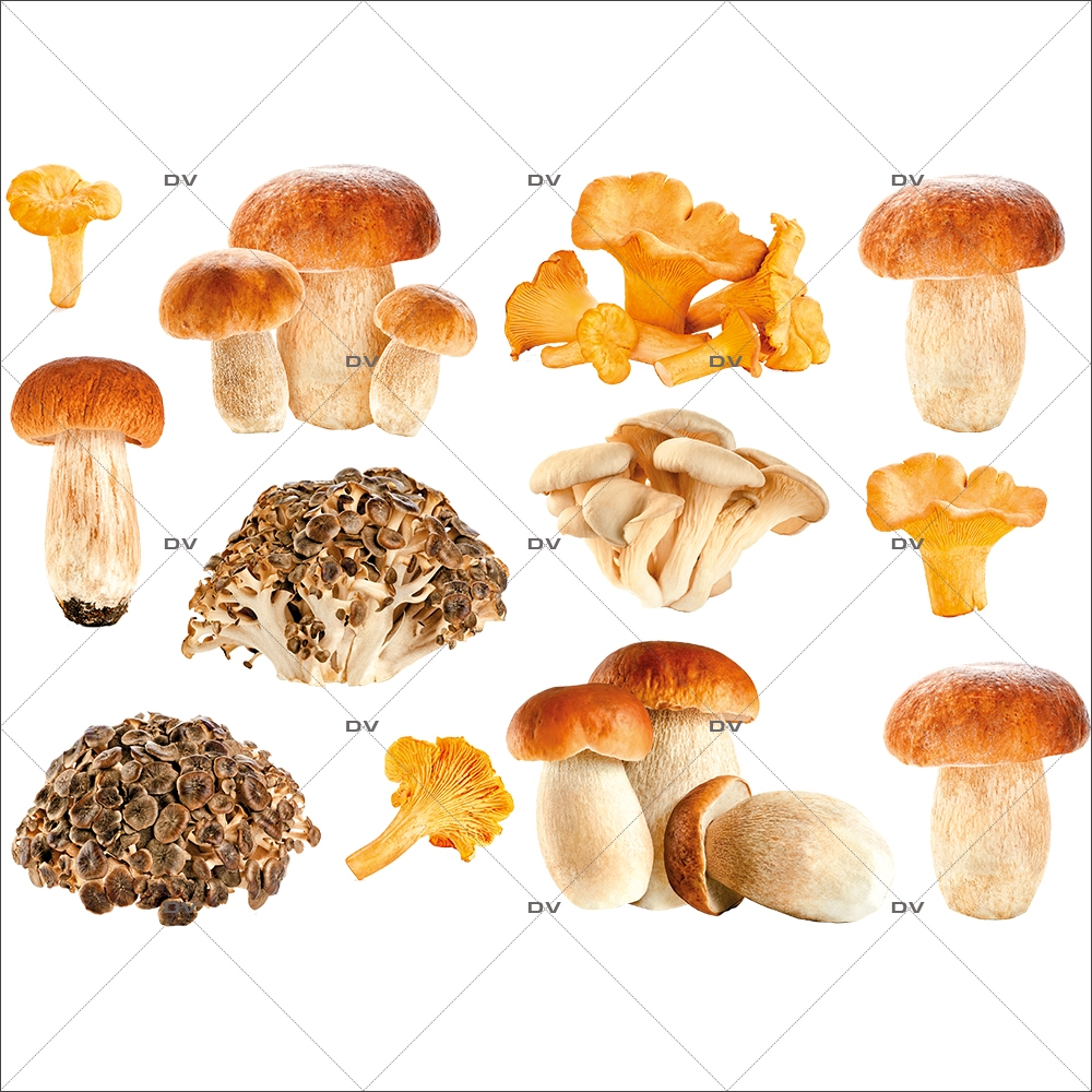 https://www.deco-vitres.com/42484-large_default/aut4-sticker-champignons.jpg