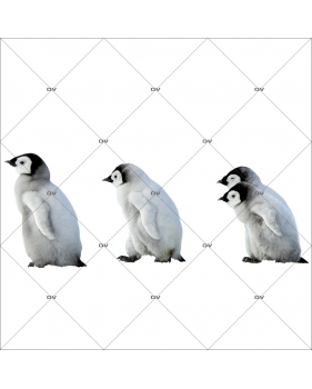 sticker-pingouins-bebes-en-file-indienne-frise-noel-theme-polaire-arctique-nature-vitrine-noel-electrostatique-vitrophanie-sans-colle-DECO-VITRES-PG6D