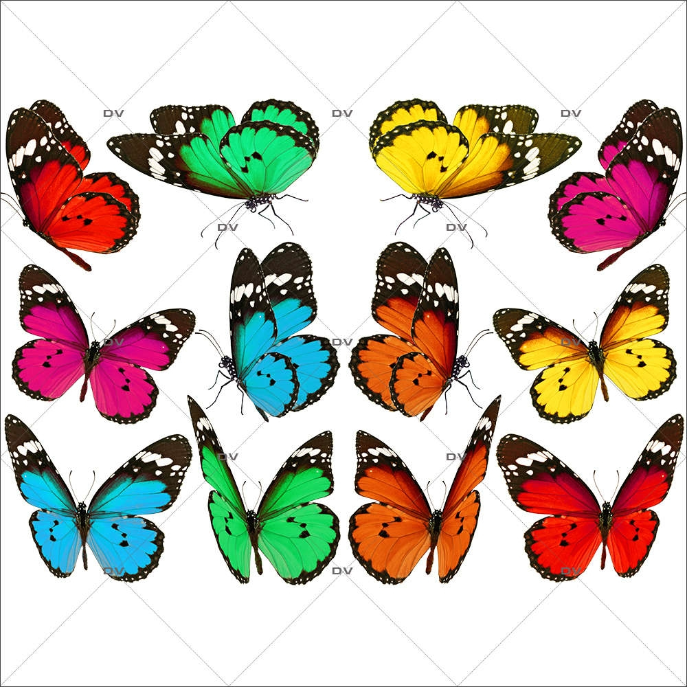 PAP10 - Sticker papillons multicolores - DECO-VITRES - Electrostatique